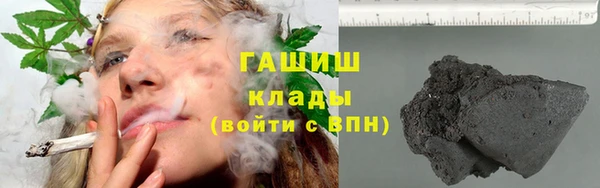 шишки Абаза