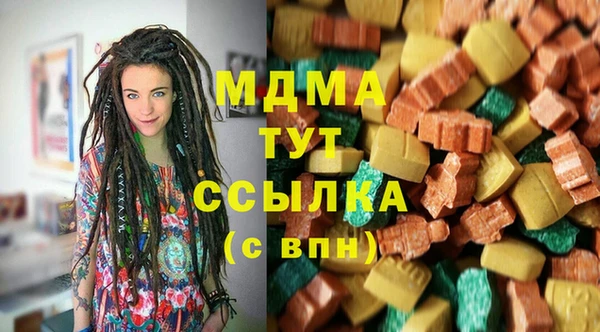 шишки Абаза
