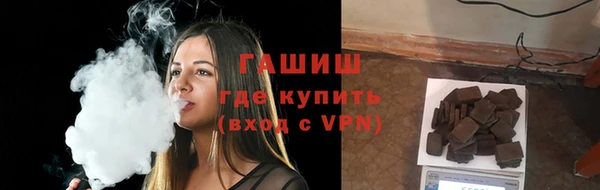 шишки Абаза