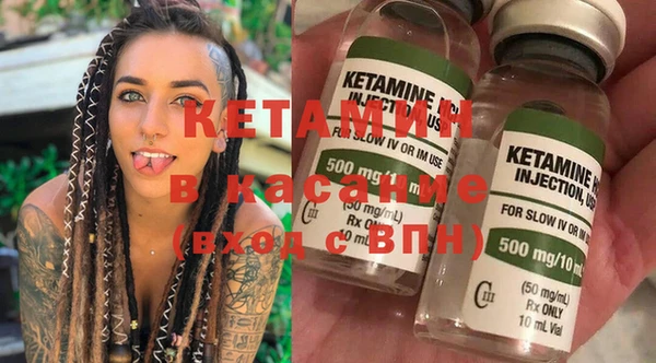 шишки Абаза