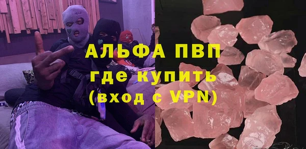 шишки Абаза