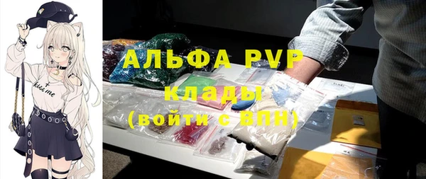 шишки Абаза