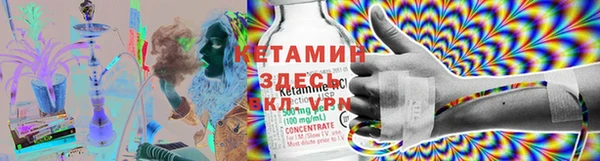 шишки Абаза