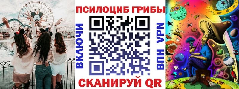 купить наркоту  Черемхово  ОМГ ОМГ ссылки  Галлюциногенные грибы Cubensis 